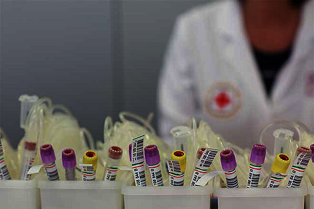 DRK Blutspendedienst